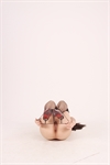 Thumnail / 1 / 30 / 36
